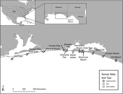 Insights Into Sea Turtle Population Composition Obtained With Stereo-Video Cameras in situ Across Nearshore Habitats in the Northeastern Gulf of Mexico